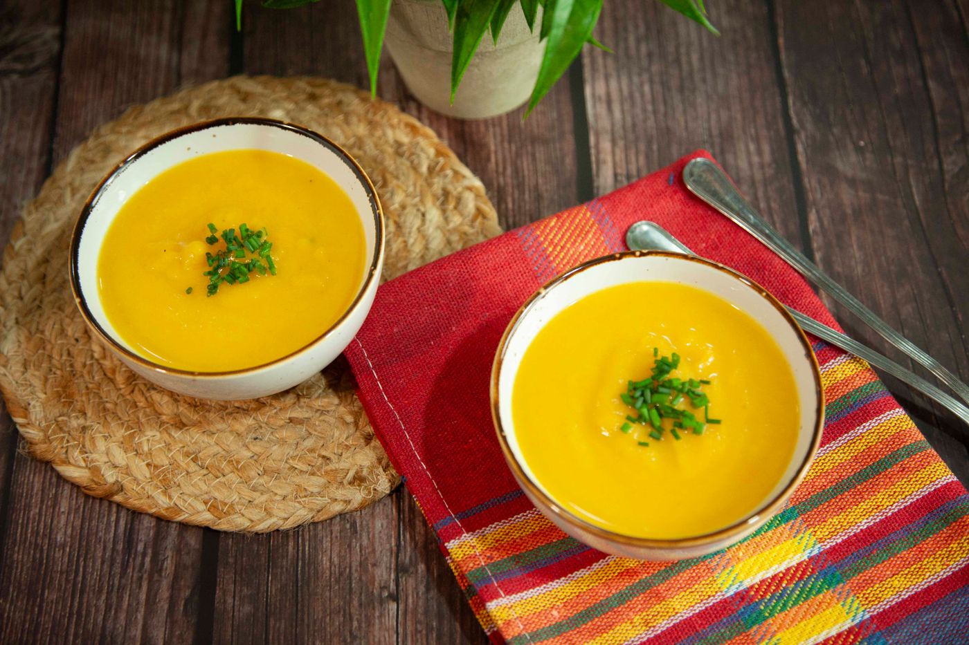 Crema Auyama